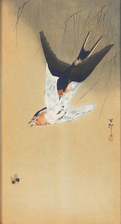 Ohara Koson, "Swallows and Wasp" and "Carp and Fly".