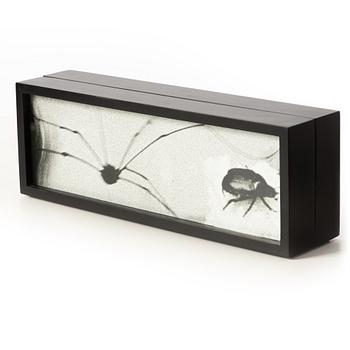 Hope Sandrow, "Spider Beetle", 1989.
