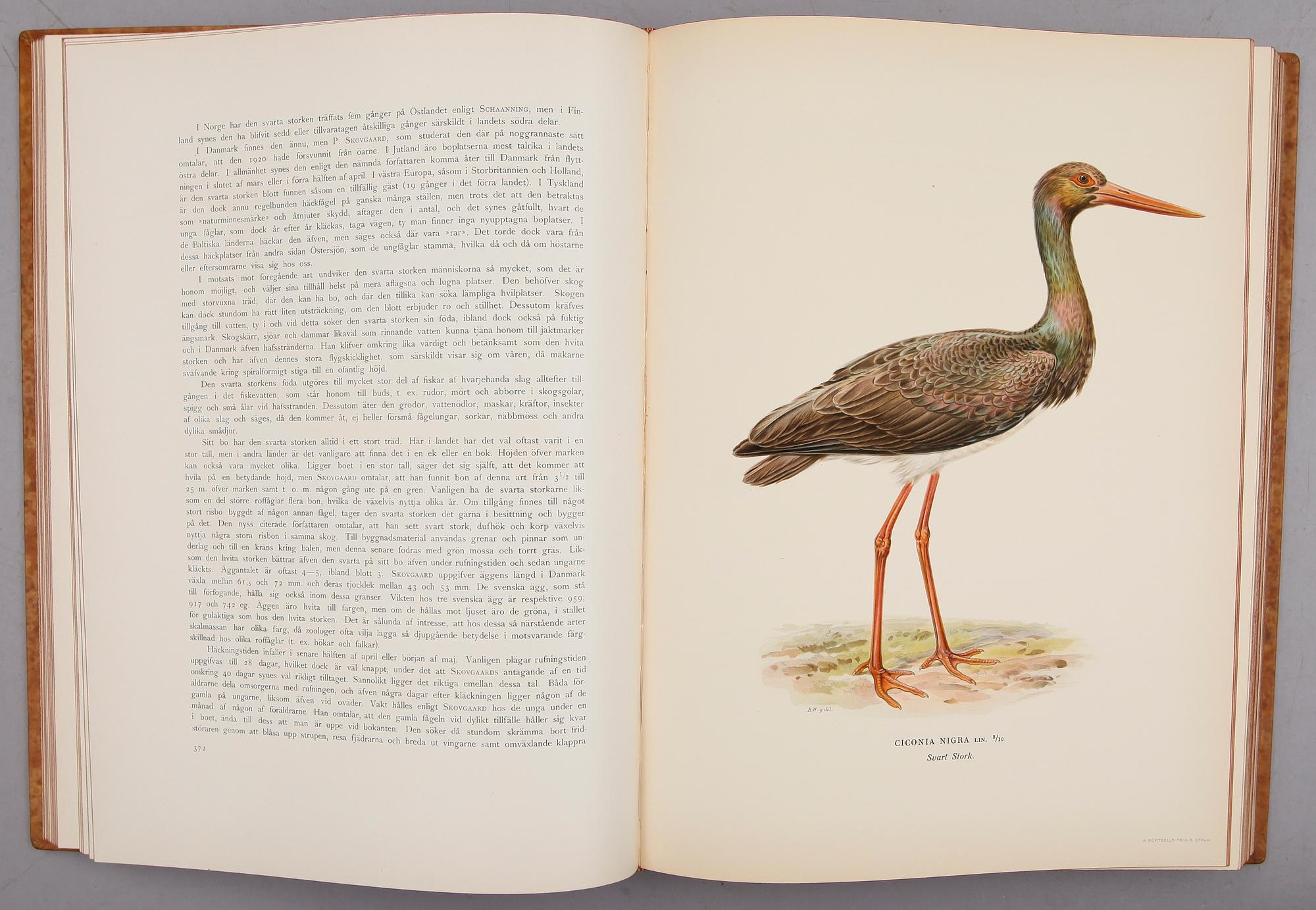 BÖCKER, 3 vol, "Svenska Fåglar", M,W & F von Wright, Stockholm 1927 och 1929.
