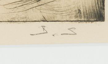 Santeri Salokivi, The Lovers.