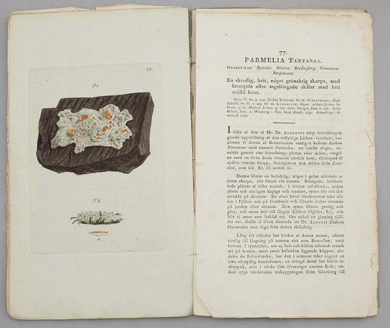 JOHAN WILHELM PALMSTRUCH, "Svensk Botanik, vol I-V. 1803-1805.
