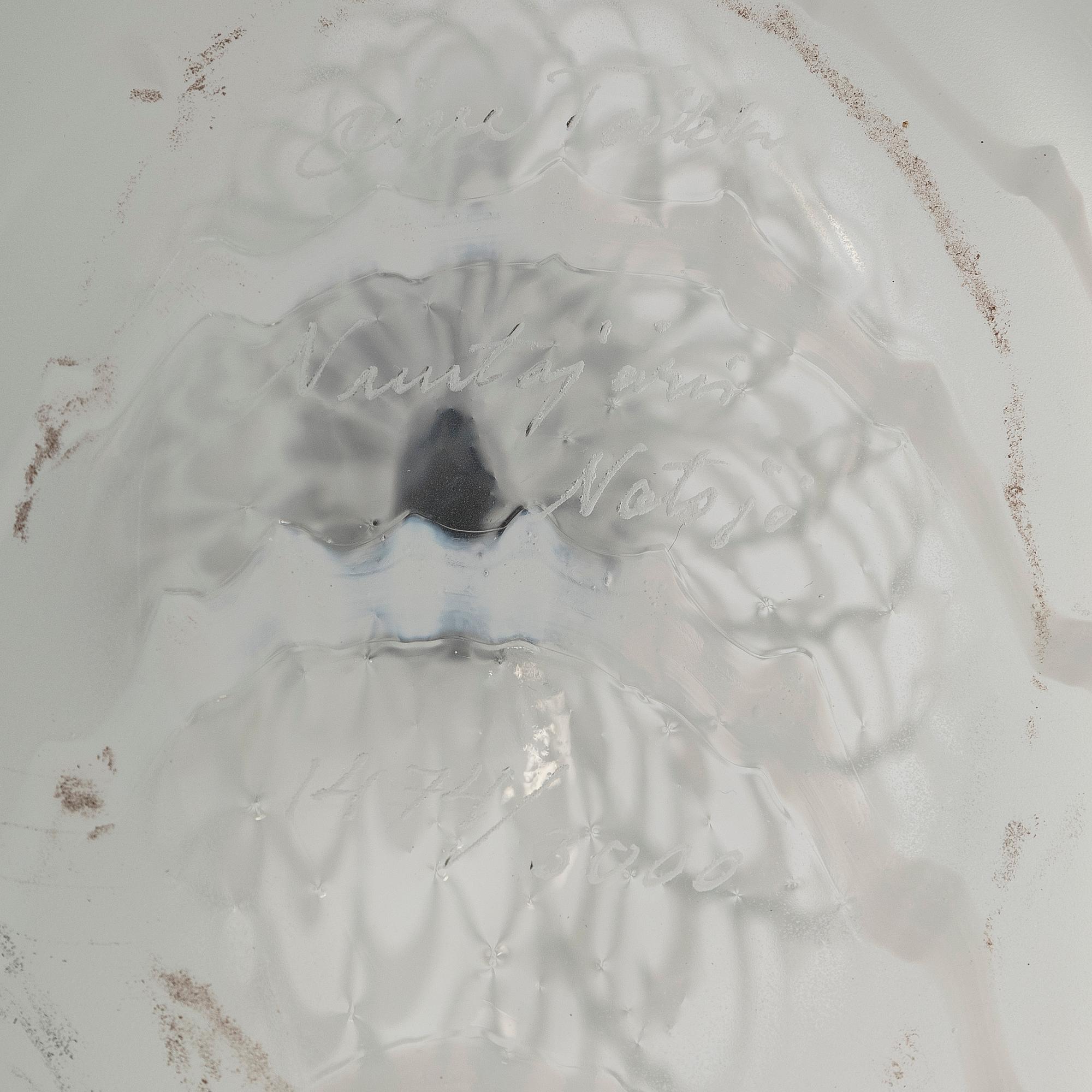 Oiva Toikka, A glass bird 'Species of tern', signed Oiva Toikka Nuutajärvi Notsjö 1474/3000.