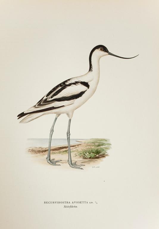 BÖCKER, 3 volymer, "Svenska Fåglar", M. W. & F. von Wright, Förlaget Svenska Fåglar, Stockholm, 1927-29,