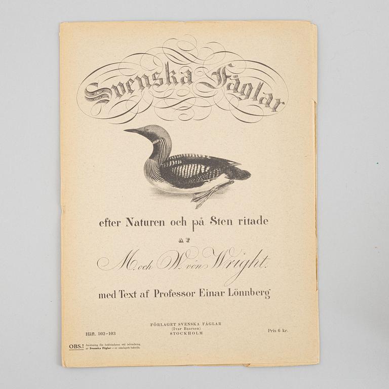 Bröderna von Wright, planschverk samt bok, "Svenska Fåglar", Ivar Baarsens förlag, Stockholm 1924-27.