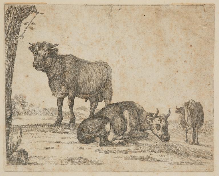 Paulus Potter, tillskriven, Boskap.