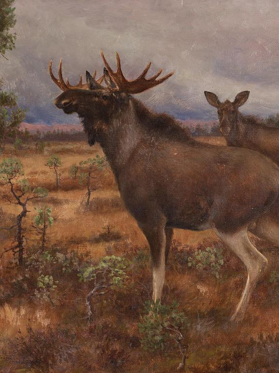 Axel Borg, Moose in autumn landscape.