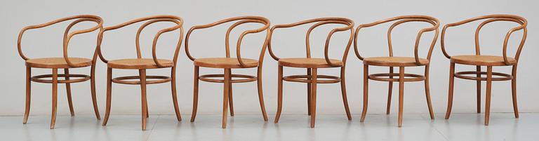 STOLAR, 6 st, Thonet-stil, 1900-talets mitt - andra hälft, (Modell 209).