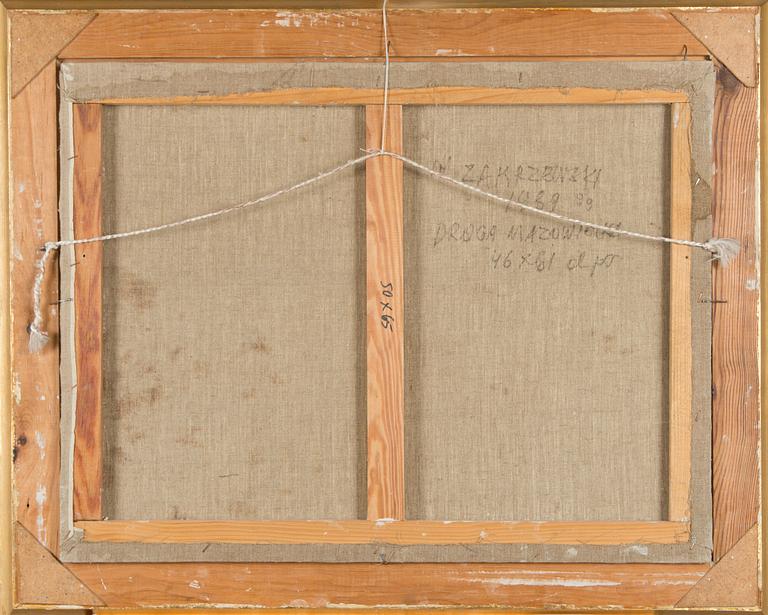 Wlodzimierz Zakrzewski, Maantie Masoviassa.