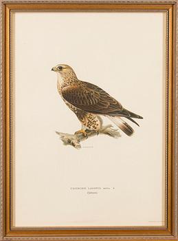 LITHOGRAPHS, 5 pcs, after Wilhelm von Wright and Bror Hallberg. A. Börtzell, Stockholm.