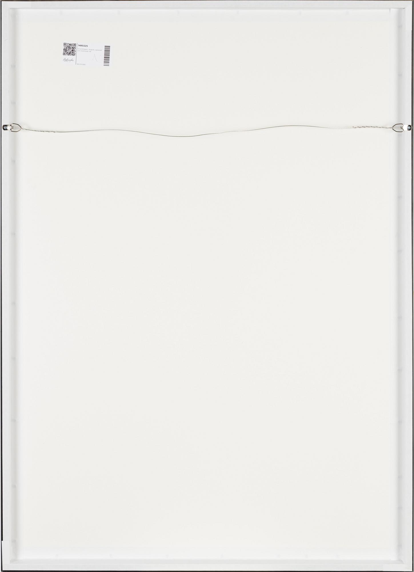 Ernst Billgren, färglitografi, signerad HC V/XXV.