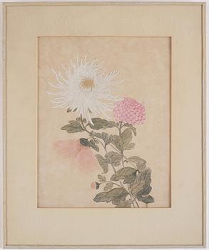 Two watercolours by anonymous artist, late Qing dynasty.