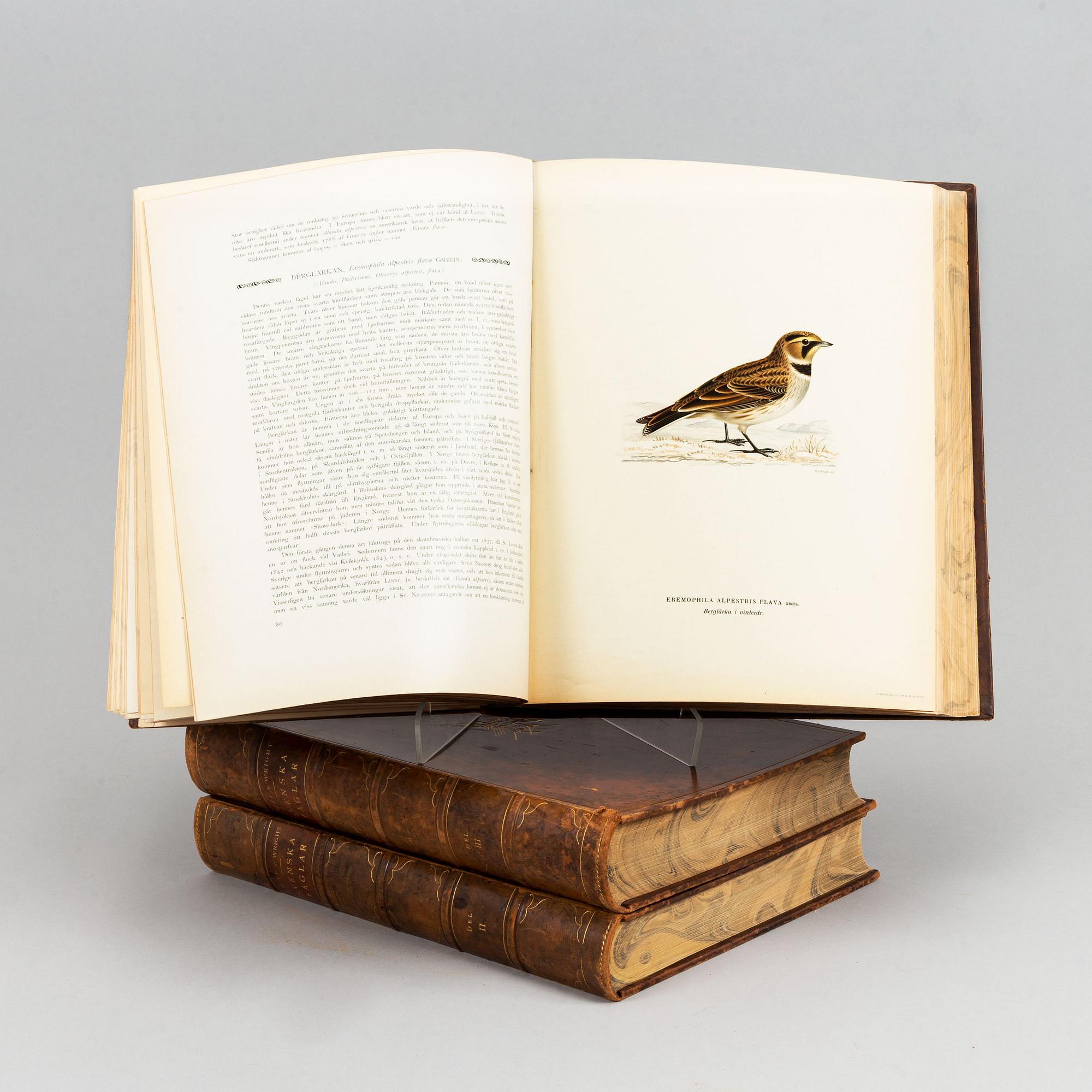 The von Wright brothers, three volumes "Svenska Fåglar", Börtzells tryckeri AB, Stockholm, 1927-1929.