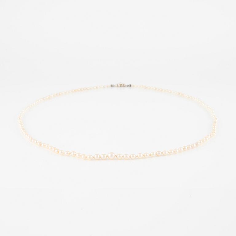 Necklace, with pearls, clasp 18K gold.