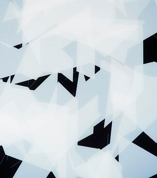 Niko Luoma, "Self titled adaption of Head #4 (1973)".