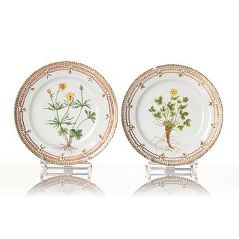 Tallrikar, 10 stycken, porslin. "Flora Danica", Danmark, 1900-tal.