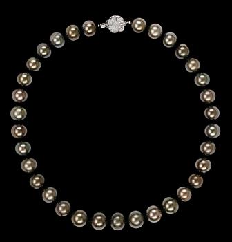 791. A cultured Tahiti pearl necklace, 11 mm.
