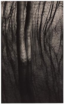 286. Gunnar Smoliansky, GUNNAR SMOLIANSKY, gelatin silver print signed on verso.