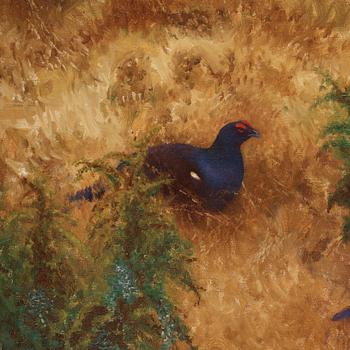 Bruno Liljefors, Autumn landscape with black grouse.