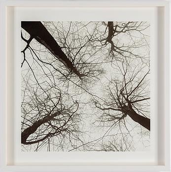 FREDERIK LIEBERATH, photography, archival pigment print. Signed and numbered 1/7 on verso.