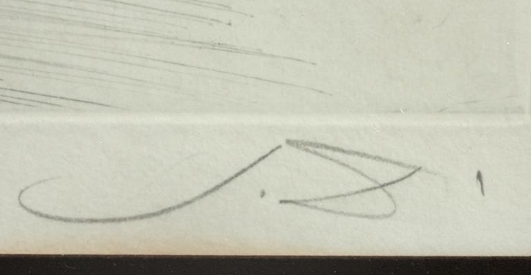 SALVADOR DALI, färgetsning, sign o numr 71/125.