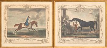 Thomas Spencer, after English Thoroughbreds, 6 pcs.