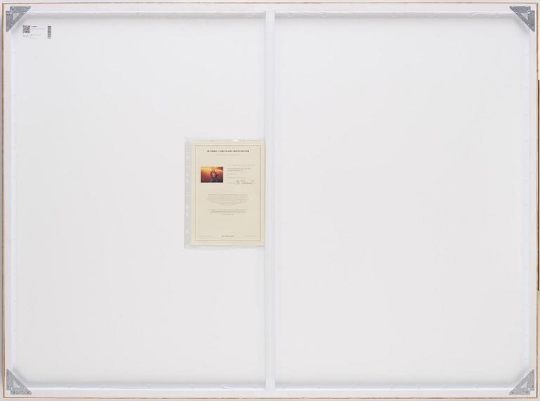 Edward Finnell, ”Robert Plant - The Golden God”, 1977.