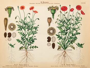 Emil Korsmo, 29 lithographic weed plates.