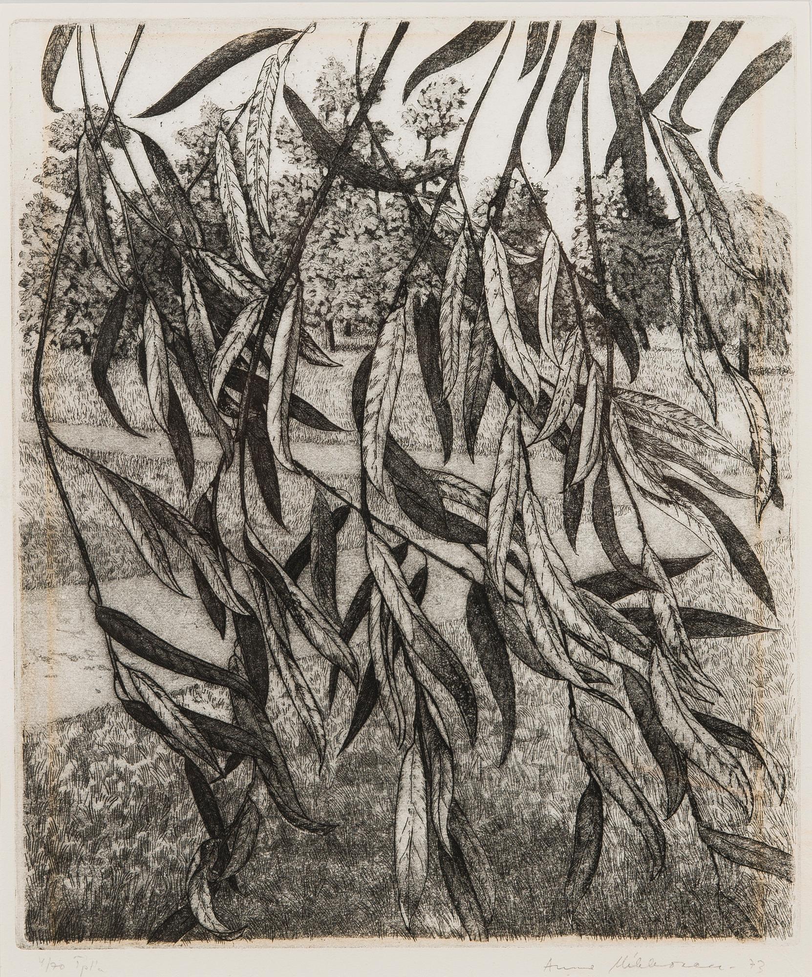 AUNE MIKKONEN, etsning, signerad och daterad -73, numrerad 4/70.