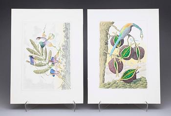 KARL AXEL PEHRSON, mapp med 10 färglitografier, "Vyer från Nirak", sign o numr 37/285. 1973.