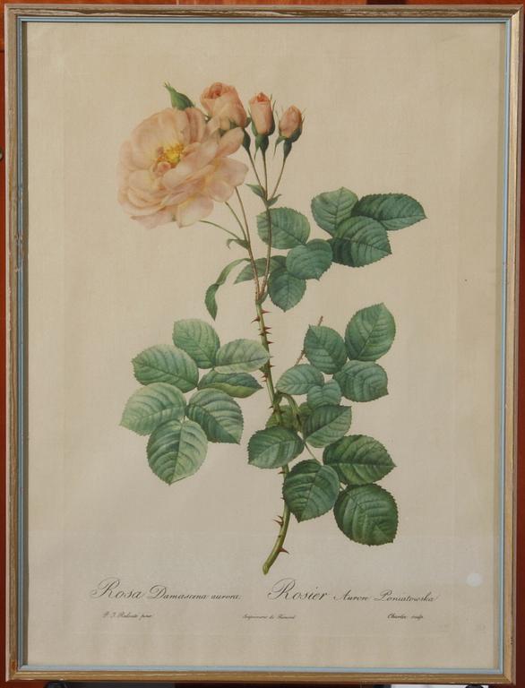 TRYCK, 2 st samt TRÄSNITT. Bl a Annie Bergman.