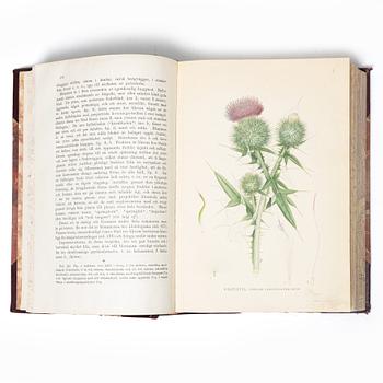 Books, 3 volumes. C.A.M. Lindman, *Bilder ur Nordens Flora*, 1922 and 1926 respectively.