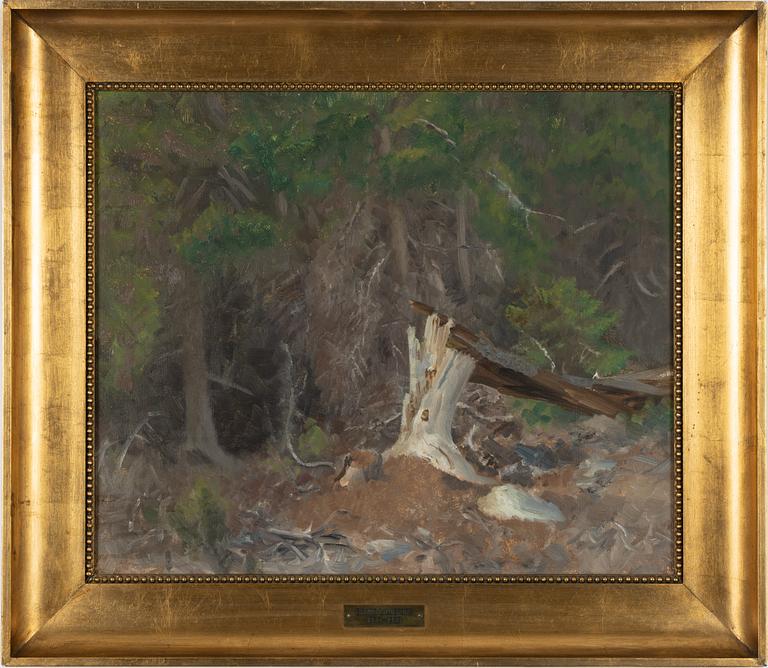 Bruno Liljefors, Forest Glade.