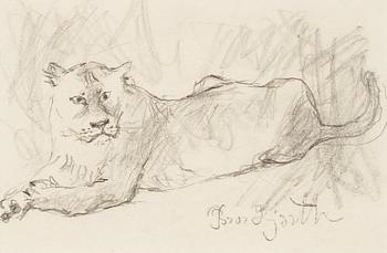 73. Bror Hjorth, "Lejon" (Lion).