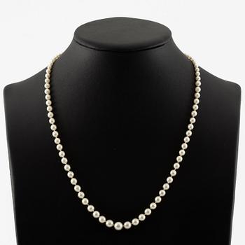 Necklace of cultured pearls with an old-cut diamond clasp in 18K gold.