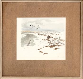 Gunnar Brusewitz, birds in flight over a winter landscape.