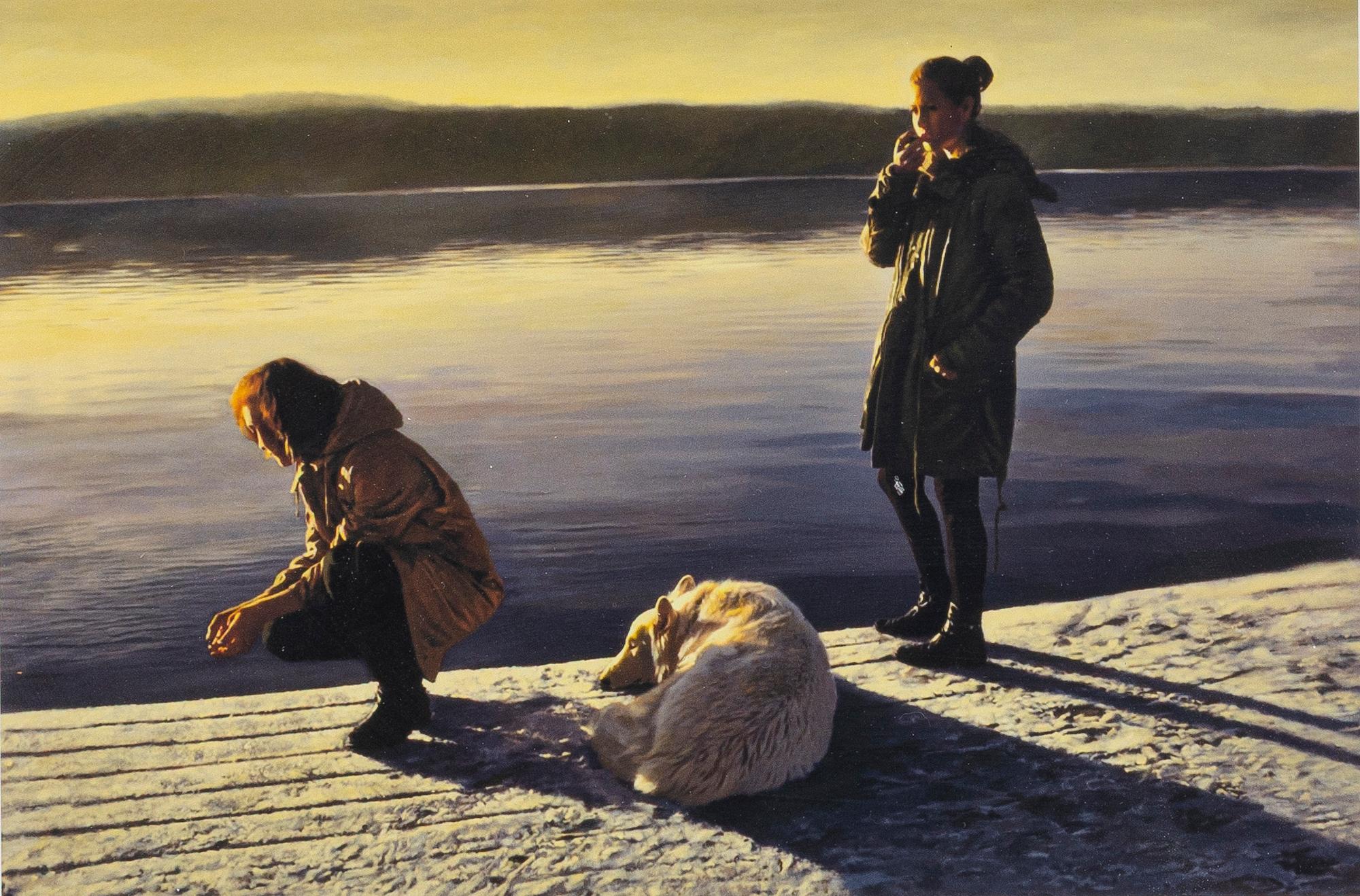 Karin Broos, "Frusen dröm".