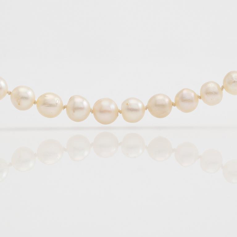 COLLIER, pärlor, lås 18K vitguld och diamanter.