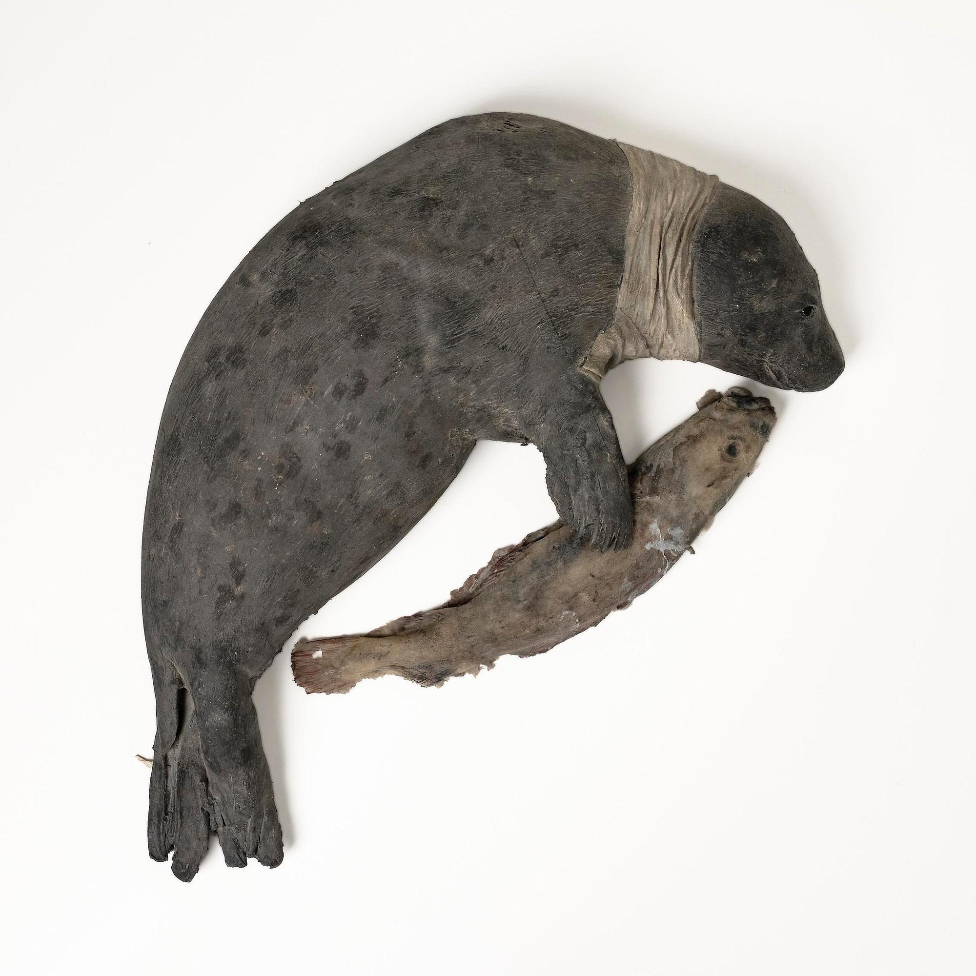 Roland Persson, "Wounded seal".