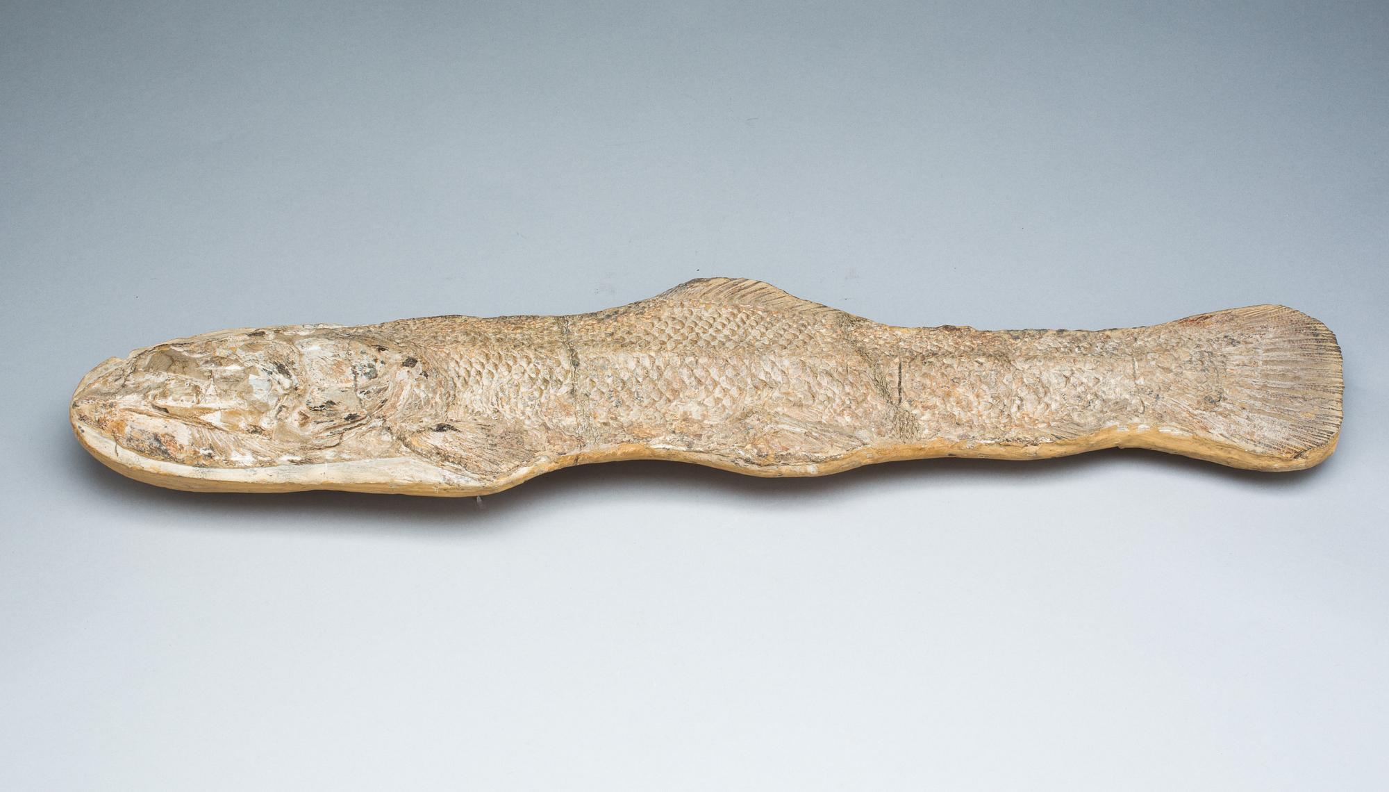 FOSSIL.