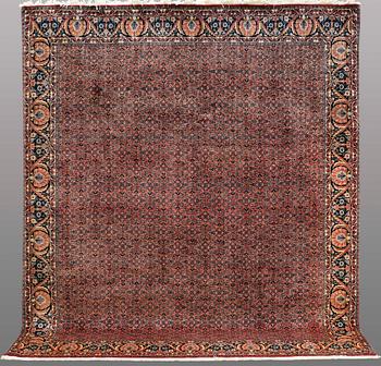 A CARPET, Bidjar, ca 292 x 256 cm.