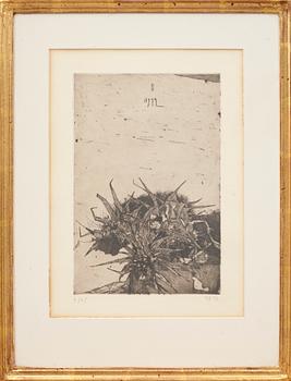 HORST JANSSEN, Etsning, monogramsignerad, daterad -72 och numrerad 4/25.