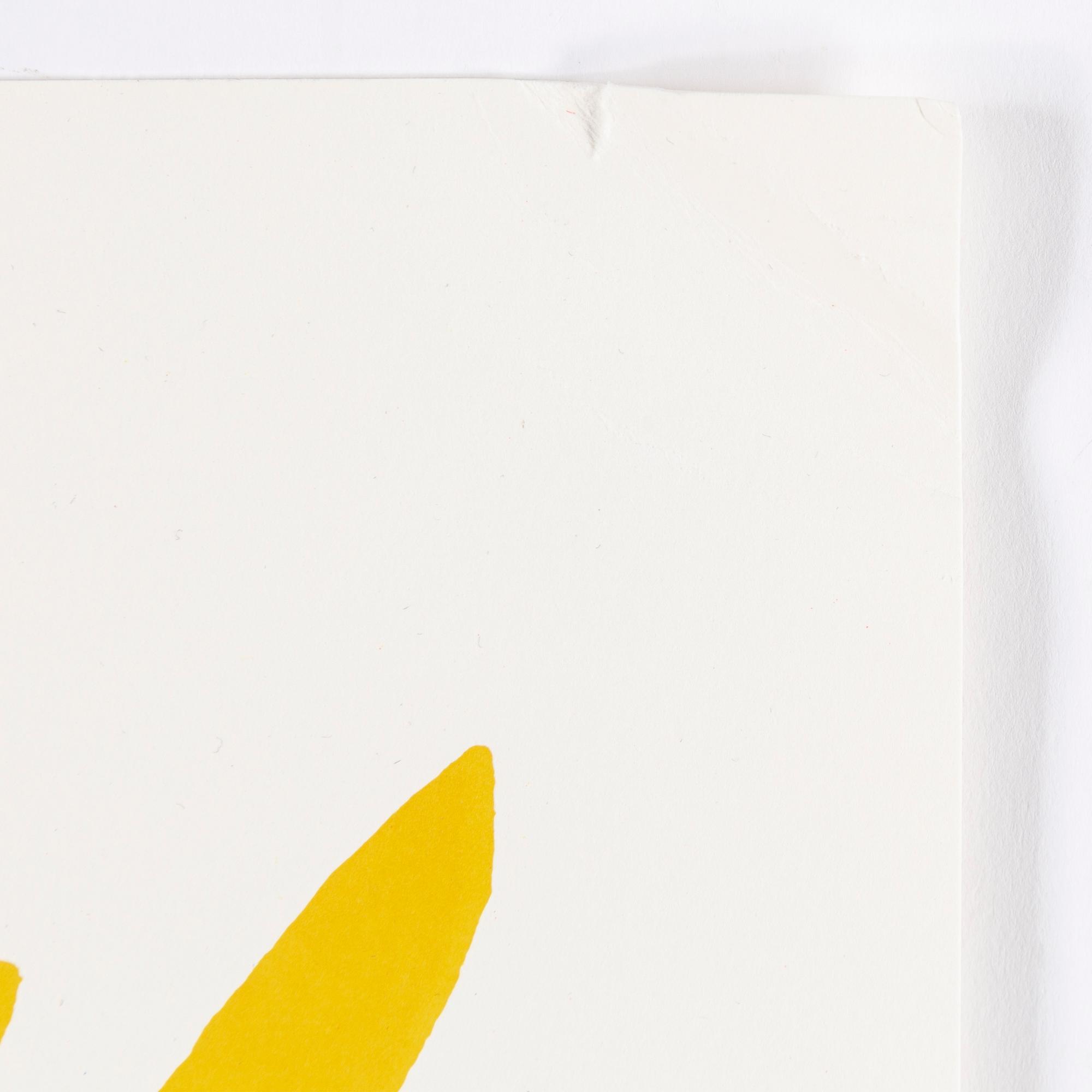 CARL JOHAN DE GEER, silkscreen in color, signed and numbered 29/99.
