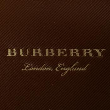 Burberry, Bag, "The DK88 Document Case".