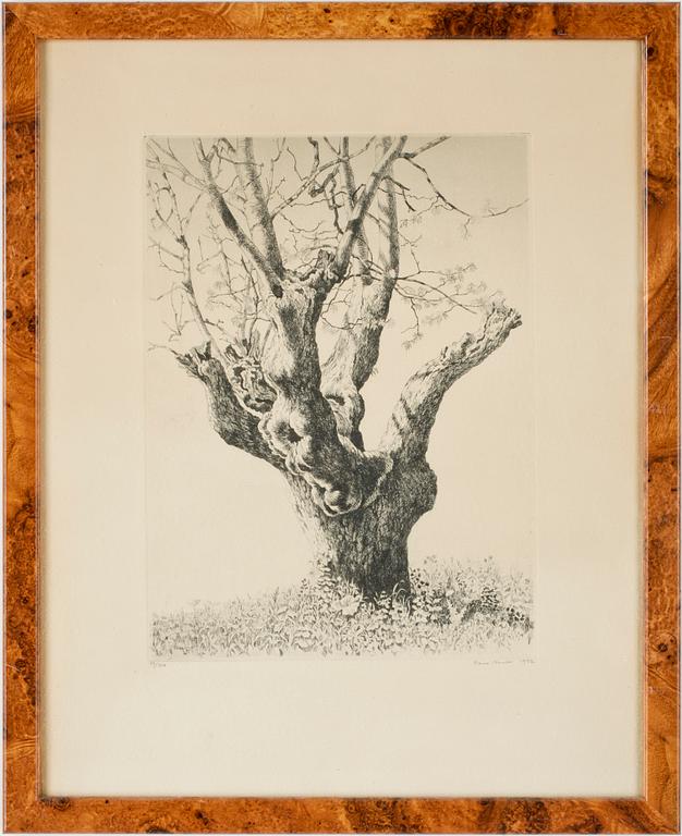 HANS NORSBO, torrnål, sign o numr 99/300, dat 1952.