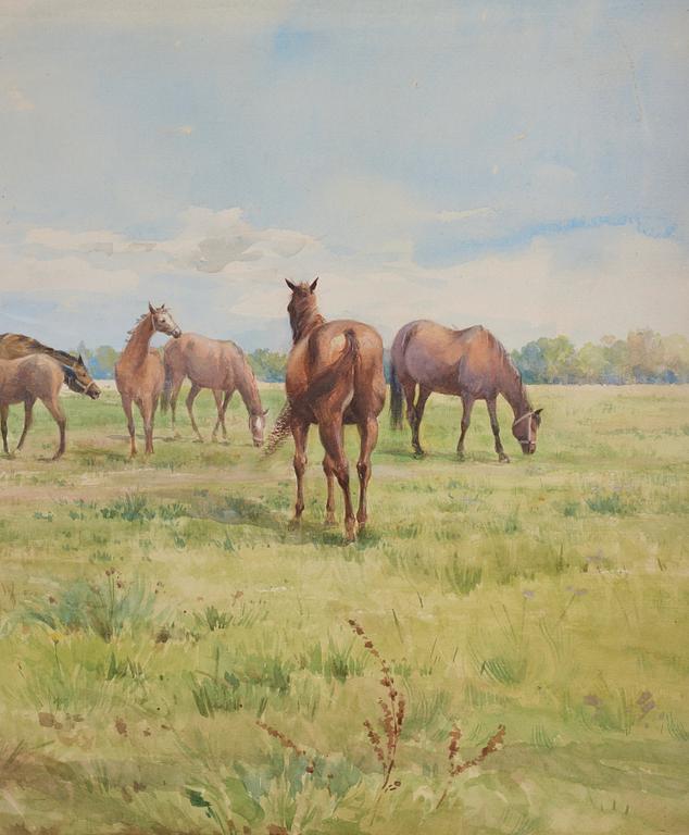 Anna Palm de Rosa, Grazing horses.