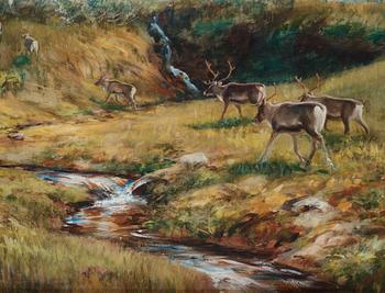 Johan Tirén, Reindeer in the early spring.