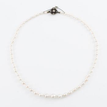 Necklace of pearls with a gold and silver clasp set with rose-cut diamonds.