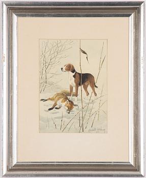 Harald Wiberg, Beagle och räv.
