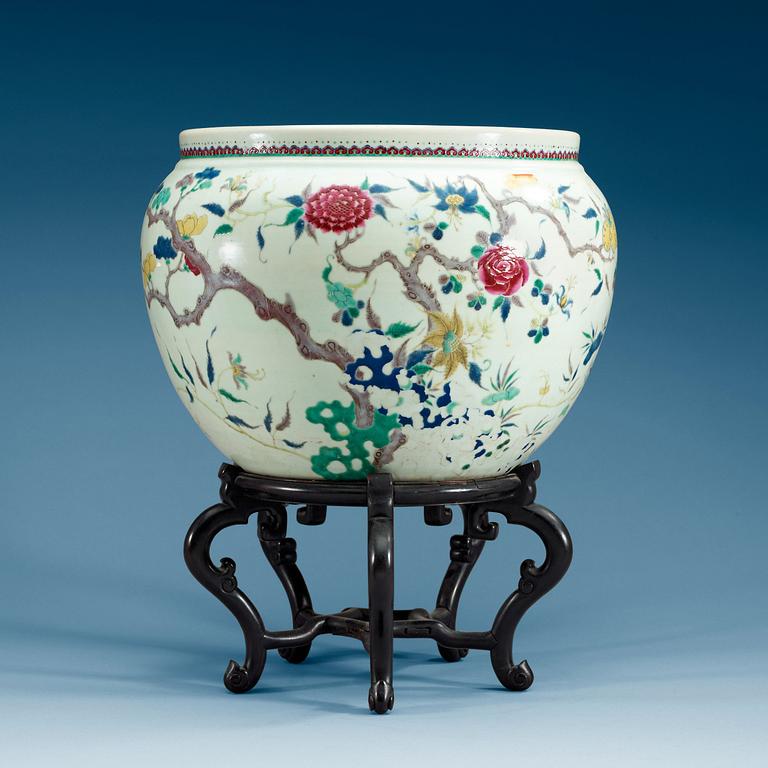 A large famille rose fish basin, late Qing dynasty.