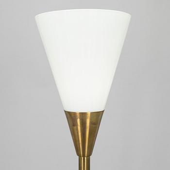 Lattiavalaisinpari, "Cono", Giso, Alankomaat. 2000-luku.